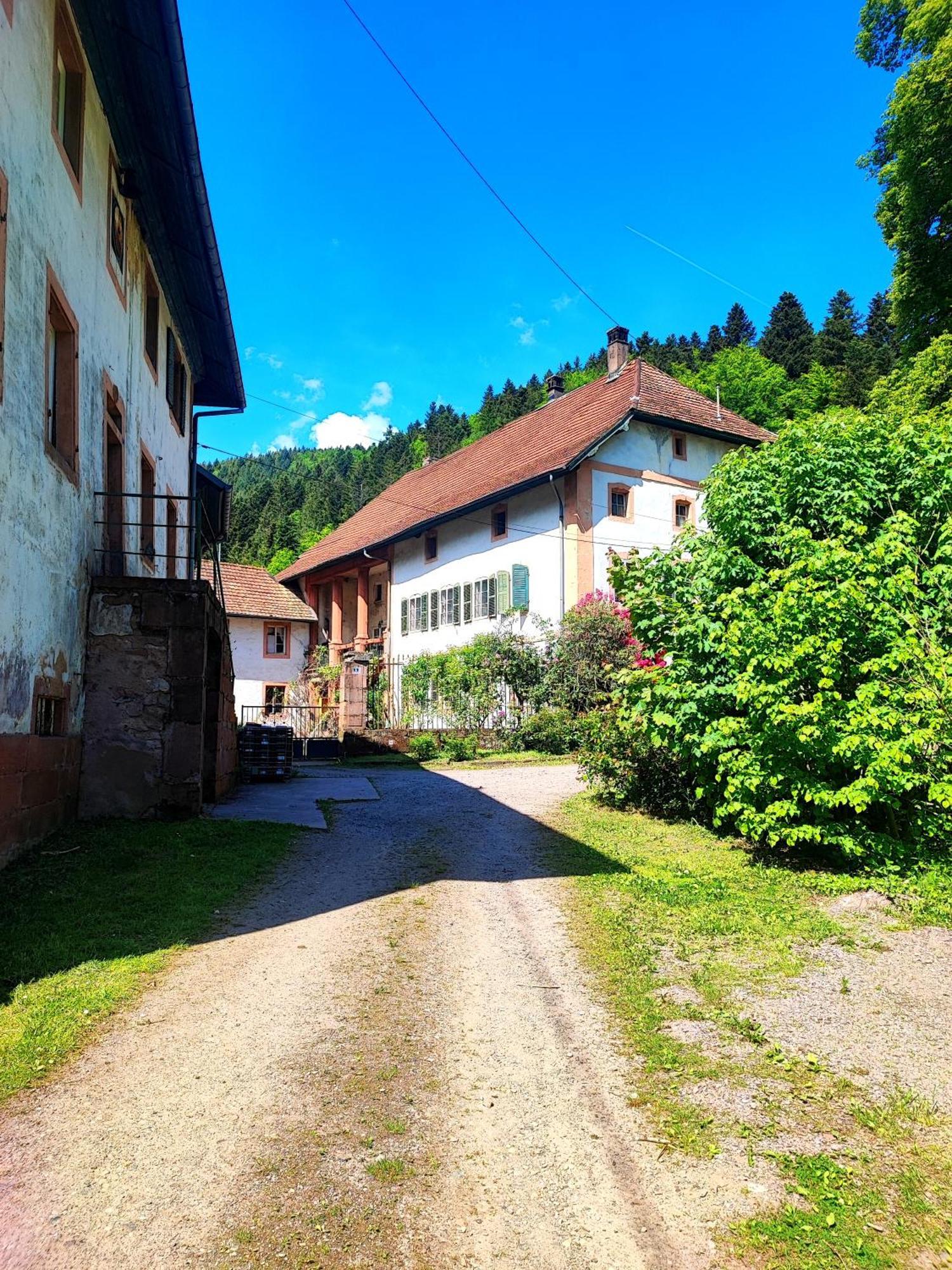 La Demeure Des Forges Apartment Grandfontaine  Exterior photo